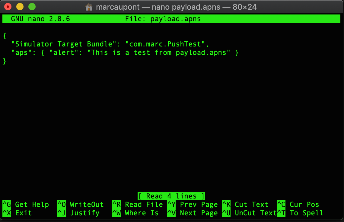 A Terminal screenshot