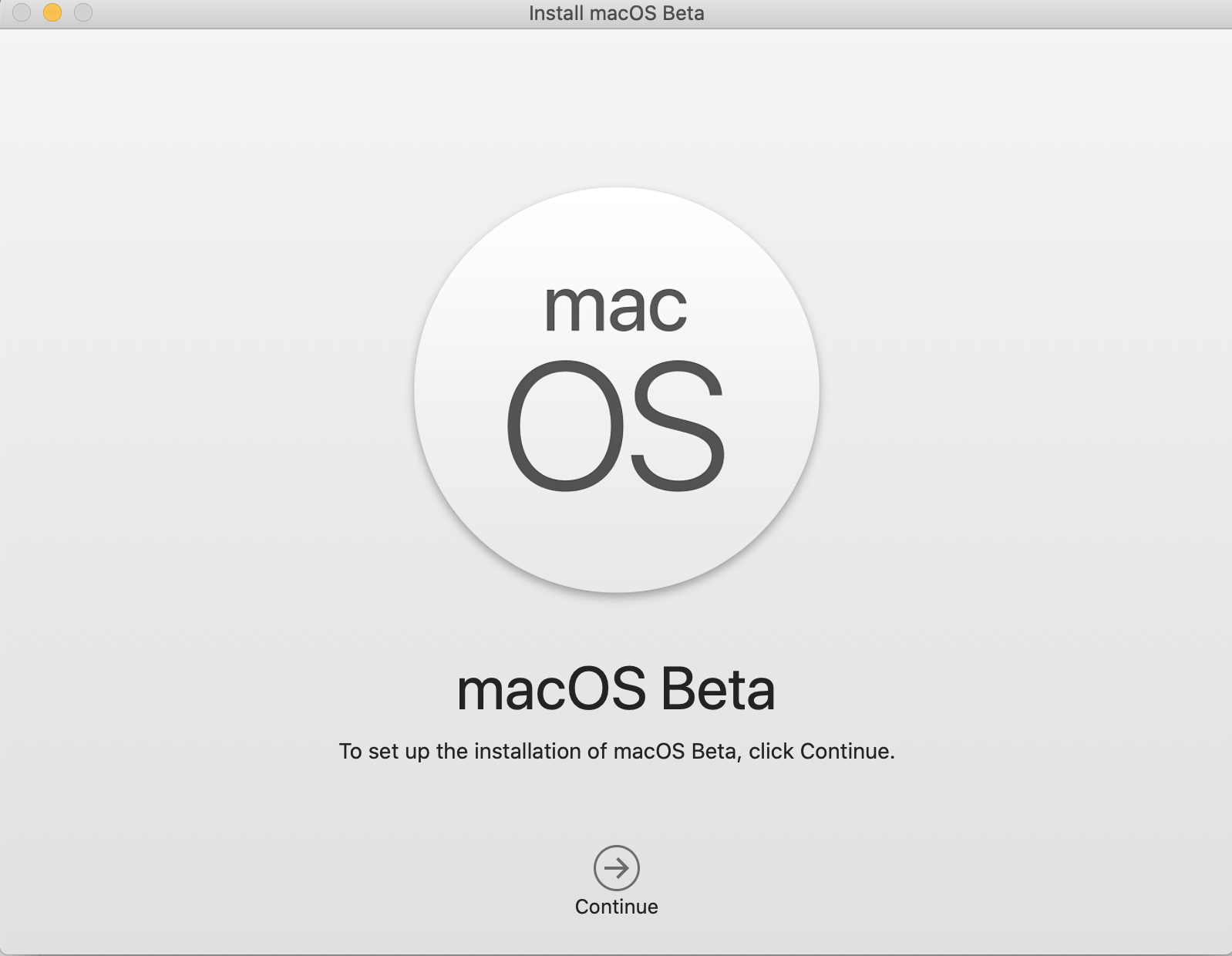 Screenshot of macOS beta installation
