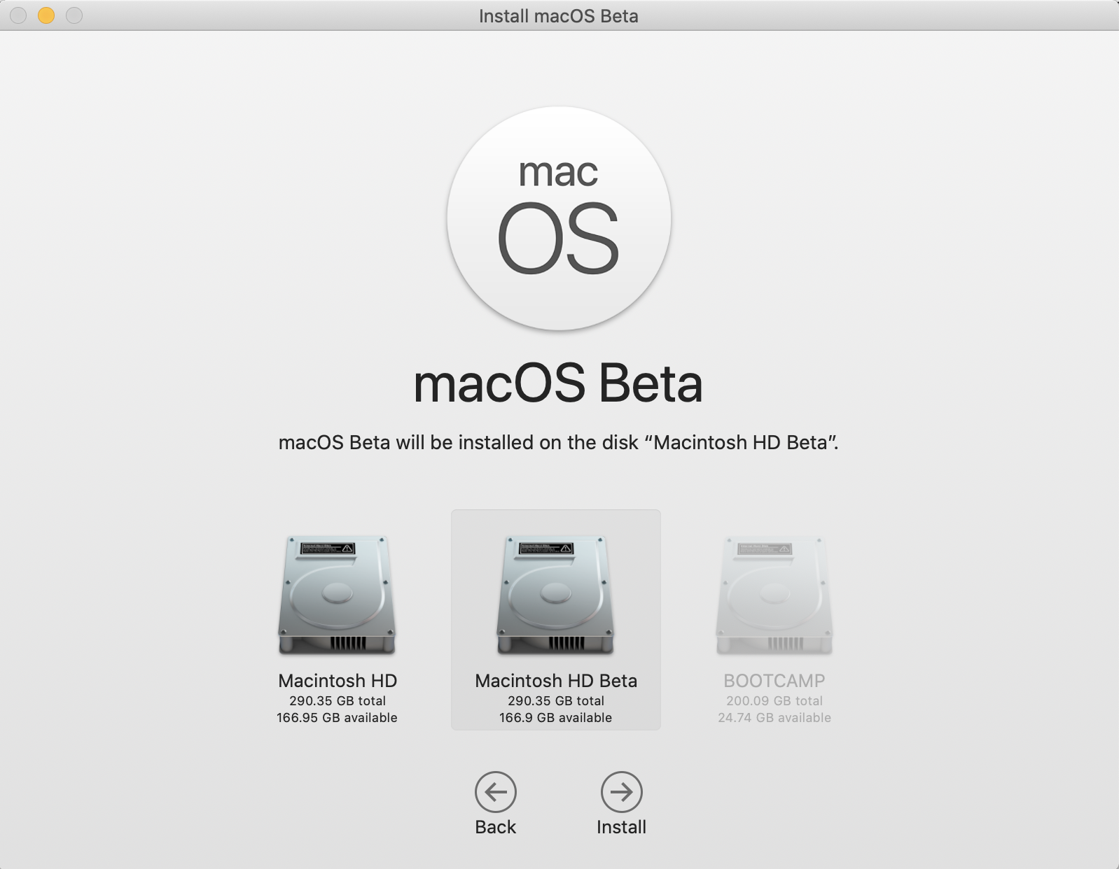 Screenshot of macOS beta installation