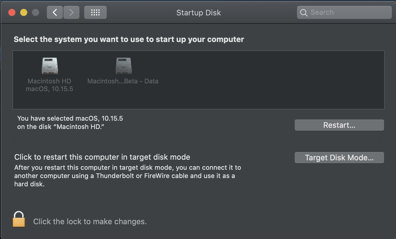 Screenshot of Startup Disk page in the Mac System Preferences app