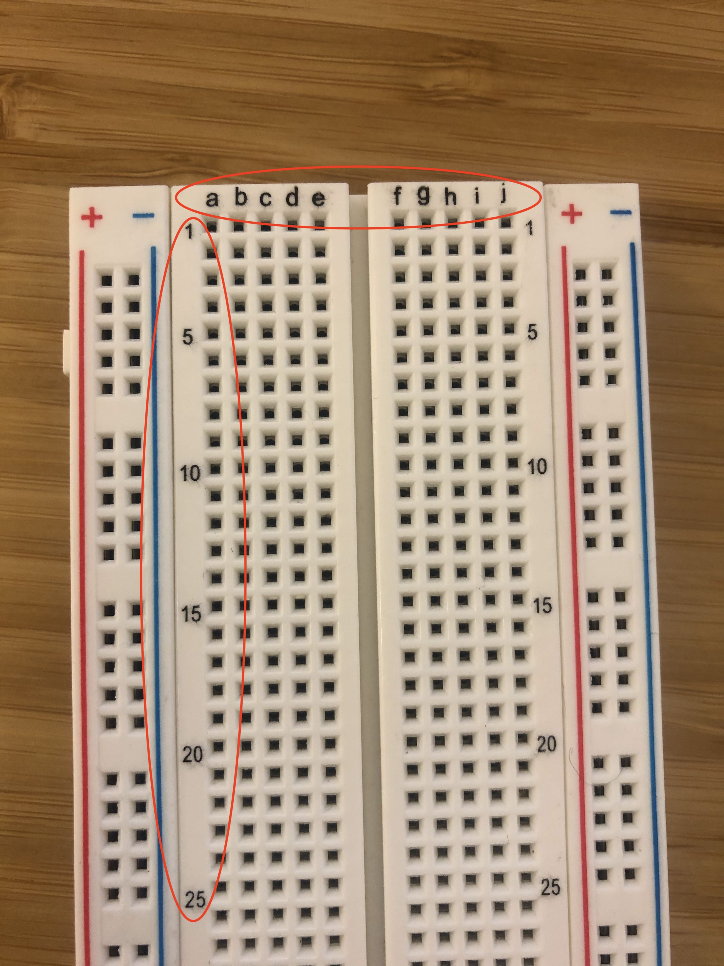 A photo of a breadboard with circles around the labeled rows and columns